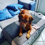 marco antonio - @markobike - Instagram