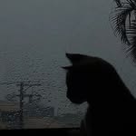 Марко - @markoblakk - Instagram