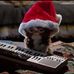 Mark Obrochta - Facebook