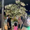 mark ocampo - @mark.ocampo28 - TikTok