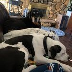 Mark Ochsner - @mark.ochsner.739 - Instagram