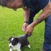 Mark Odgers - Facebook