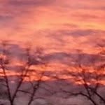 Mark Odom - @odommark - Instagram