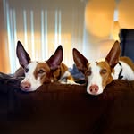Mark O'Donnell - @owenlong63 - Instagram