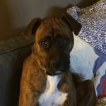 Mark gene oerther - @mark2oerther - Instagram
