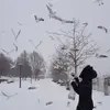 markoettinger715 - @markoettinger715 - TikTok