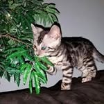Mark Ohara - @markohara1961 - Instagram