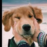 @marko_i_dabiie - Instagram