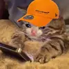 Mark Oja - @markoja - TikTok
