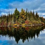Mark Ojala - @markojala - Instagram