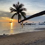 Mark Okamoto - @mark_okamoto - Instagram