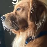 Mark-o - @mark_e_olander - Instagram