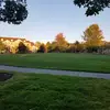 Mark Olea - @mark.olea28 - TikTok