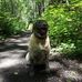 Mark Olfert - Facebook