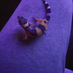 Mark olinger - @mark_olinger - Instagram