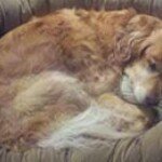 Mark Olson - @mark.olson.3511041 - Instagram