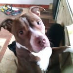 Mark Orange - @mark.orange.779 - Instagram