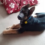 Mark Ormerod - @mark.ormerod2 - Instagram