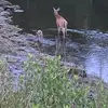Mark Ormerod - @mark.ormerod - TikTok