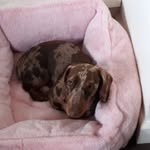 Mark Orsi - @orsi.mark - Instagram