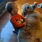 Mark Orsini - @mark.orsini.10 - Instagram
