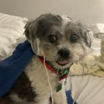 Mark Orsini - @orsini.mark - Instagram