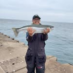 Mark Ortega - @markortega407 - Instagram