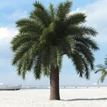 Mark Ortega - @miami305ortega - Instagram