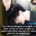 Mark Ortega - Facebook