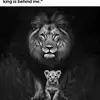 Mark Otto 🦁 - @mark.otto28 - TikTok
