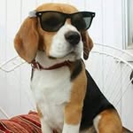 Mark Overholser - @markoverholser - Instagram