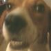 Mark Overholser - Facebook