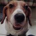 Mark Overholser - Facebook