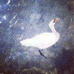 Mark Owusu - @owusumark - Instagram
