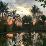Mark Pablo - @rewildingpablo - Instagram