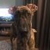 Mark Pabst - Facebook