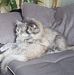 Markus Pabst - Facebook
