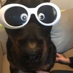 Mark Page - @markpage1051 - Instagram