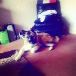 Mark Page - @mark.page.75098364 - Instagram
