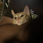 markp - @mark_palen - Instagram