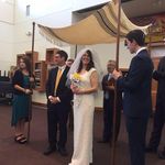 Mark Paley - @mark.d.paley - Instagram