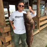 Mark Panelli - @panelli_mark - Instagram