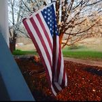 Mark Pannell - @markpannell1 - Instagram