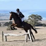 Mark Pannell - @marks.horse - Instagram