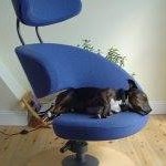 Mark Panton - @mark.panton - Instagram