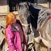 wednesday horse - @marksparham35 - TikTok