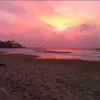 Mark Paris - @mark.paris8 - TikTok