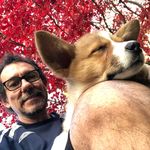 Mark P5 - @markparker5 - Instagram