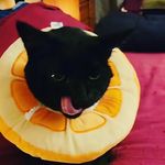 Mark Park Maniego - @markymac2003 - Instagram