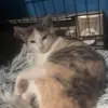 Markyyyparkyy - @markonpark - TikTok
